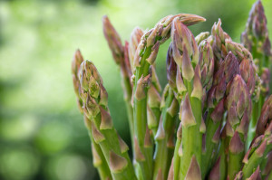 asparagus