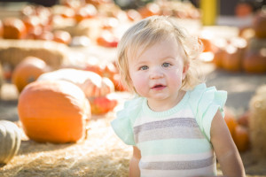 fallpumpkinpatch