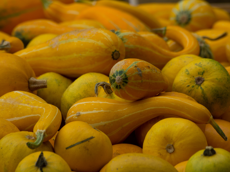 Awesome Autumn Squash