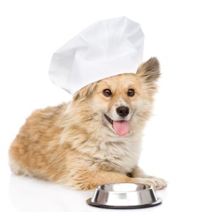 doginchefhat