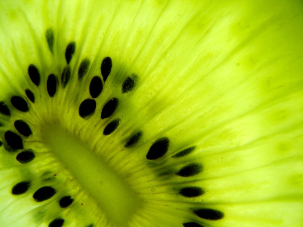 kiwi