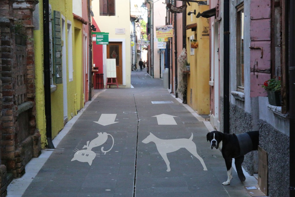 Footpath signposted for dogs and cats